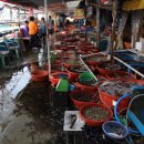 대천터미널 이미지