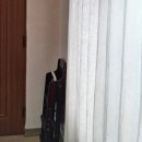 제주청년살이 이미지