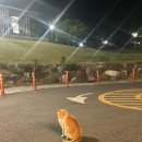 신기초등학교 옆 | 푸름달_두번째이야기