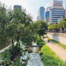 호랑이광장 이미지