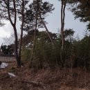 사계정사 이미지