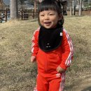 양원숲속도서관 | 중랑구 아이랑 주말 양원숲속도서관 잔디광장