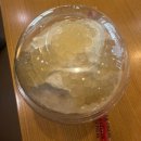 요거 t | [공차신메뉴]그릭요거티 자몽망고 밀크펄 크러쉬 내돈내산 솔직후기