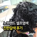 노브랜드헤어 | 노브랜드 셀프염색약 아로마 퍼퓸 헤어컬러 B342 진한갈색 후기