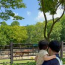 코뿔소 음식점 이미지