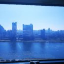 닭갈비타운 915호 이미지