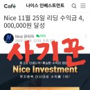 나이스인베스트먼트
