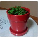 행복덩어리 이미지