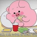꿀꾸리