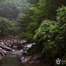 여행프라자㈜ 이미지