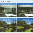 상록수레저