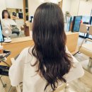헤어다방 | 미아사거리역미용실 모발클리닉 잘하는곳 바이움트헤어 솔직후기 (w.은지원장님)
