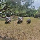 경운대학교(산업대) 이미지