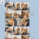 굿댕스쿨 네이버블로그