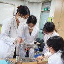 드림덴탈 이미지