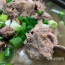 황칠오리 이미지