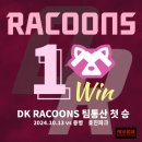 라쿤즈 이미지