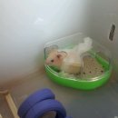 반짝반짝