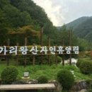 가리왕산자연휴양림 이미지