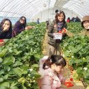 한밤실마을 이미지