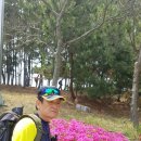 좋은아침 이미지