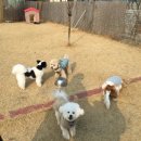 멍더랜드