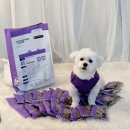 강남덴탈랩 이미지