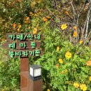 미천골약초