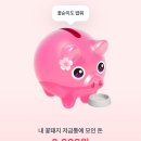 꽃돼지