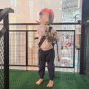 이하오산로(와룡면) | [경북 안동] 플레이방월드 : 안동대형키즈카페 내돈내산 실내놀이터 솔직후기