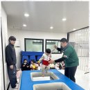 늘푸른 태권도장 이미지