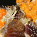 개들만찬 이미지