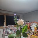 당골1길 이미지