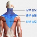 웨이워즈짐 이미지