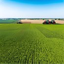 (주)신흥정밀 | 粮仓(싸이와이량창)의 봄, 스마트 농업으로 풍년 기원!🌾 미국 13개 주, 트럼프 정부 관세 정책에 제동?! 🛑