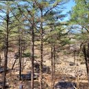 성주봉 자연휴양림 숲속의집 화장실 이미지