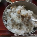수은농장 티스토리