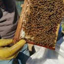 선한농장 이미지