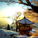 여주-0332 Daum카페