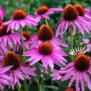 맑은샘농장 이미지