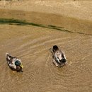 견달산로 이미지