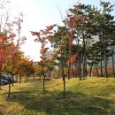 율하체육공원 축구장 이미지