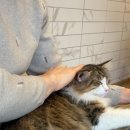 집사의 하루 일산점 이미지