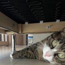 남애리458스테이 이미지