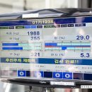 현대대명모터스 이미지