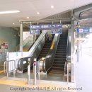 유미타스 이미지