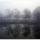 율하체육공원 생태연못 이미지