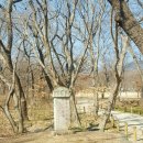 산삼고을 이미지