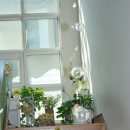 베네딕도유치원 이미지