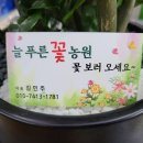 낙원꽃농원